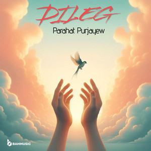Parahat Pürje - Dileg (feat. BAMMUSIC)