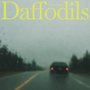 Love's High - Daffodils