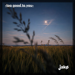 Too Good to you by Jakø