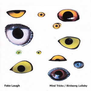 Birdsong Lullaby by Fake Laugh