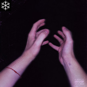 The Snowflake
