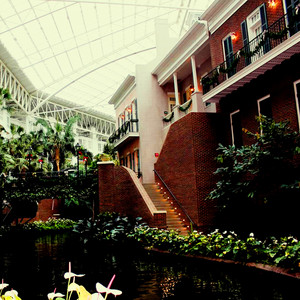 Opryland Hotel Ambience with Waterfalls and Passer-bys album