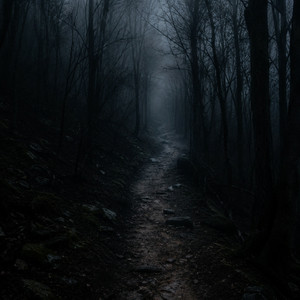 Lost Path by Ae Booms