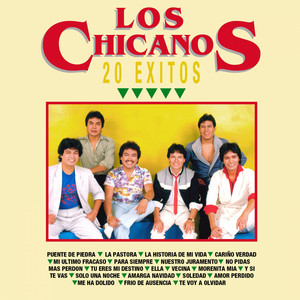 Exitos Descent Of Exitos 洋楽 Y / Mexican Mas