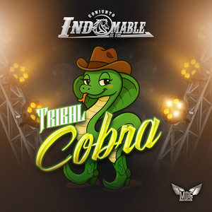 Conjunto Indomable - Tribal Cobra