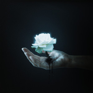Guiding Light by Falling Below