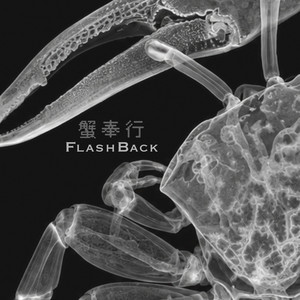 flashback by 蟹奉行
