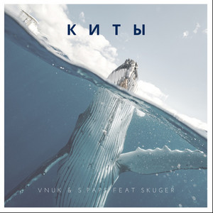 Киты