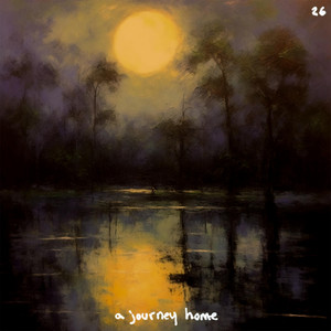 moondream by a journey home
