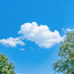 DA RAIHAN BOGGEL - It's commonplace