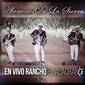 Alameños De La Sierra - El Burrero Culón (En Vivo)