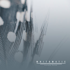 Whiteomatic