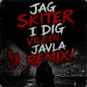 JAG SKITER I DIG VILKEN JÄVLA REMIX by NEONBERGER