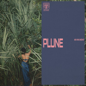 not even noticed — plune (2026)