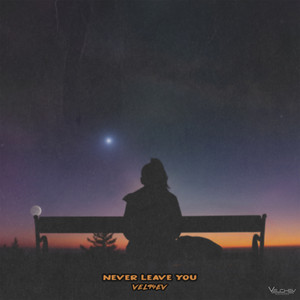 Never Leave You by VEL94EV
