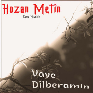 Hozan Metin - Vaye Dilberamın
