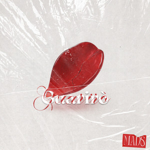 Guarirò by Mads