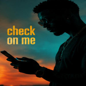 Check on me by DJ SCRIPT