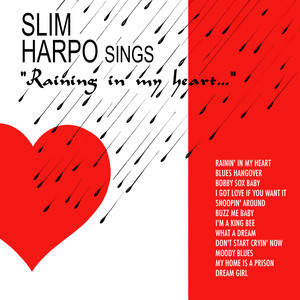 Bobby Sox Baby by Slim Harpo