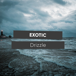 # 1 Album: Exotic Drizzle album