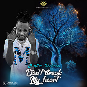 Smile Prince - Don't Break My Heart