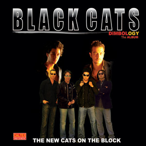 Yeki Bood Yeki Nabood — Black Cats cover art