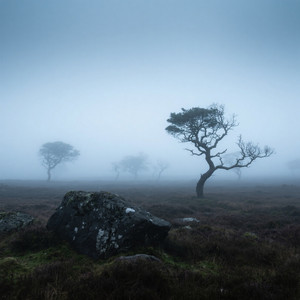 Latinovich Brian Tate - Páramo de Melancolía