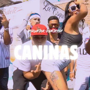 CANINAS by FRANK VANTA