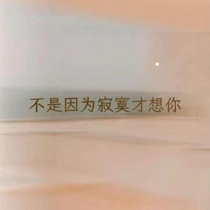 不是因为寂寞才想你 by 班开文