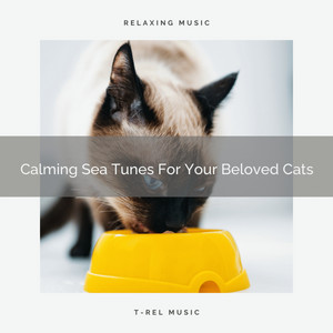 Calming Sea Tunes For Your Beloved Cats album