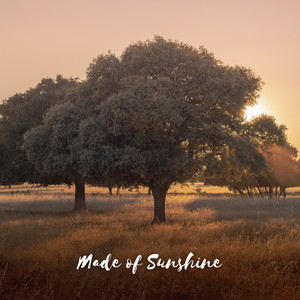 Made of Sunshine by Lowtone Music