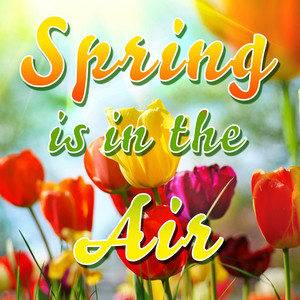 Spring is in the Air album