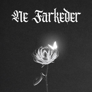 NE FARKEDER DRİLL
