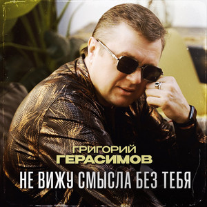 Не вижу смысла без тебя by Григорий Герасимов