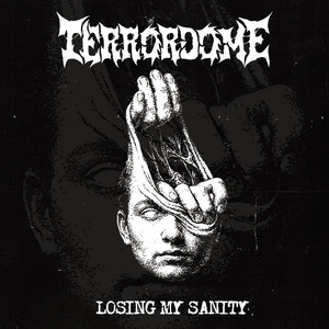 Losing My Sanity by Terrordome