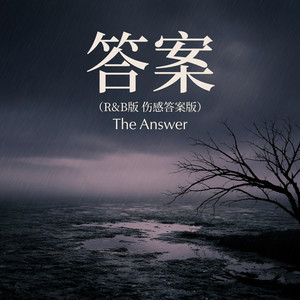 答案（R&B版）｜R&B抖音歌 伤感答案版｜完整版｜一个人听｜The Answer by 黄梓良-Ziliang