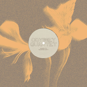 When to Wonder Why by Odyssey Quartet