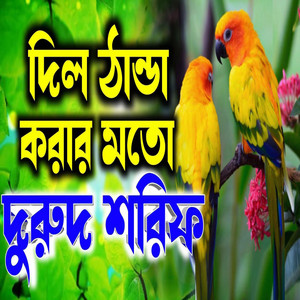 রাতে ঘুম না আসলে মনযোগ দিয়ে দুরুদ শরিফ গুলি শুনুন। আশা করি ভালো লাগবে ইনশাআল্লাহ। by Holy Tune Zikir