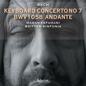 Keyboard Concerto in G Minor, BWV 1058 (After BWV 1041): II. Andante