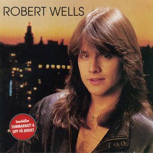 Robert Wells The Way I Feel 北欧AOR The Way I Feel – Album av Robert Wells – Apple Music