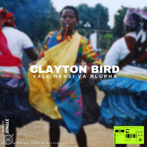 Vale hansi va hlupha by Clayton Bird