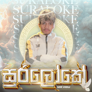 MR VIDU - Suraloke