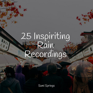 25 Inspiriting Rain Recordings album