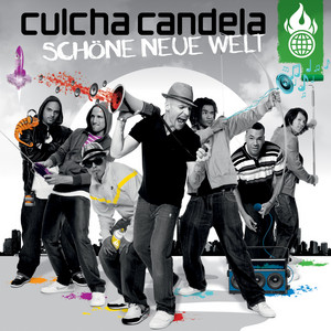 Schöne neue Welt cover