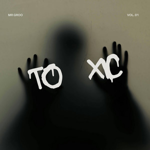 TO XIC - Radio Edit by Mr Groo