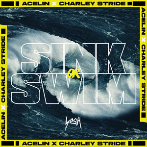 Sink or Swim by Acelin, Charley Stride