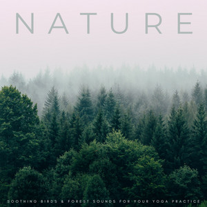 Nature: Soothing Birds & Forest Sounds For Your Yoga Practice album