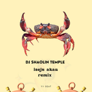 Dj Shaolin Temple - Iseju akan (remix)