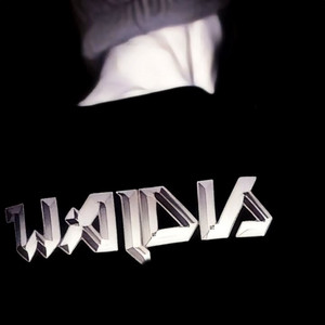 Waldis - W Stegnie Na Plaży