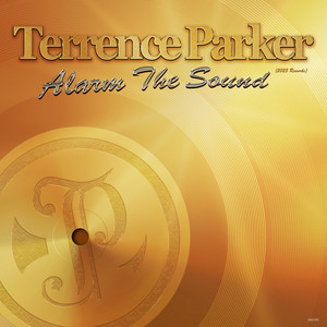 Alarm the Sound (2025 Reworks) cover art